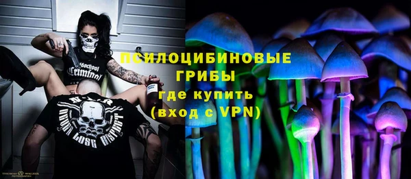 мдпв Заволжье